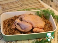 ������ � ������ �����������