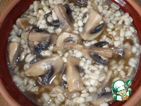 �������� � ������������ �����������