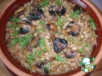 �������� � ������������ �����������