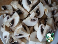 �������� � ������������ �����������