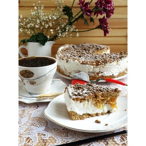 ���� �������� �� �������