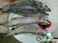 �������� �������� � ��������� �����������