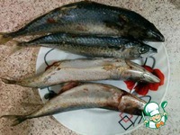 �������� �������� � ��������� �����������