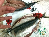 �������� �������� � ��������� �����������