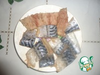 �������� � �������-������ �������� �����������