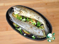 ����, ���������� � ����������� �����������