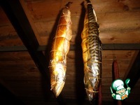 �������� �������� �������� �����������