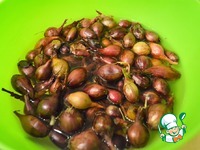 ���� � �������� � ��������� ��������� �����������