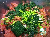 ��������-��������� ������� �� ���� �����������