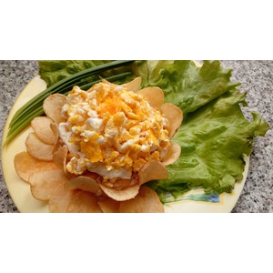 ����� "��������"