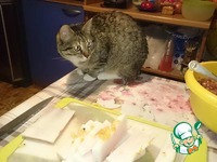 �������� ����������� ������� �����������