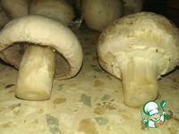 ���������� ����� � ���������� �����������