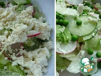 ����� �� �������, ������ � ���� �����������