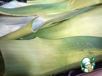 �������� �� ������ � ������ ������ �����������