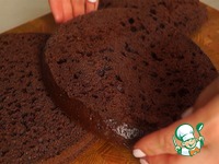 ���� "����������" �����������