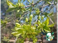 ���������� ������� "������� ���� ������" �����������