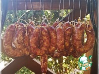 ���������� ������� "������� ���� ������" �����������