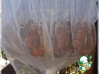 ���������� ������� "������� ���� ������" �����������