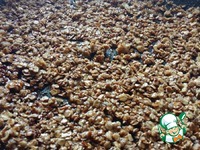 ���� "������ �����" �����������