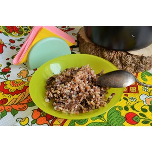 ������ � ���������