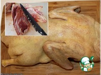 ������� �� ���� ���� �����������