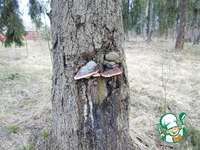 ������� ����� �������� �������� �����������