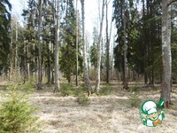 ������� ����� �������� �������� �����������