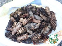 ������� ����� �������� �������� �����������