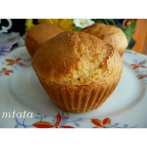 ����� � ������ �������