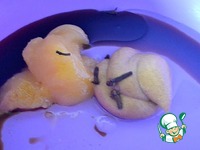 ����������������� ������ ����� �� ������-����� �����������