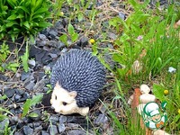 ��������� �����-����� �����������