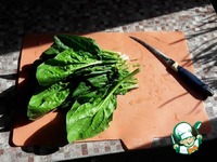 ������� ���� �� �������� �����������