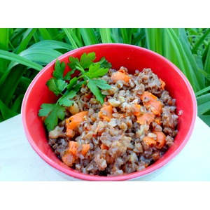 ������ � �������� ��-�������