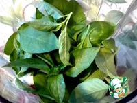 ����� � ��������� � ��������� �����������