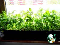 ����� � ��������� � ��������� �����������