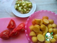 ������ "�������" �����������