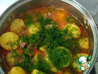 ������ "�������" �����������