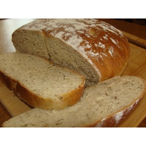 ���� � ����������