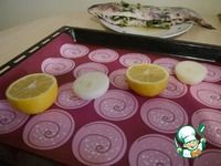 ���, ������������� ����� � ������� �����������