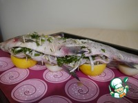 ���, ������������� ����� � ������� �����������