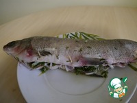 ���, ������������� ����� � ������� �����������