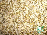 ������ ��� �� ������������ ���� "�������" �����������