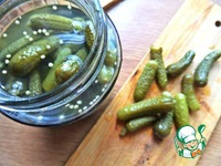 ����� "��� ����" �����������