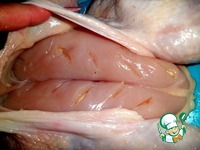 ������������� ������, �������� �� ������� �����������