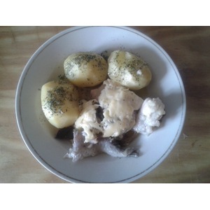 ������ ���� ��� ������ "�����"