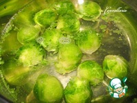 ������ � �������� � ������������ �������� �����������