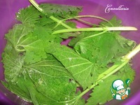 ��� � ������� ������ � ����� �����������