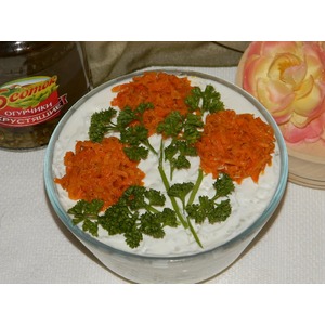 ����� �����������