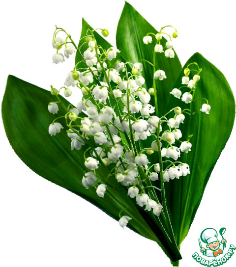 ����������� � ���� �������� ������ (Convallaria)!