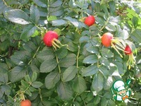 ���� � ������� �� ��������� �����������